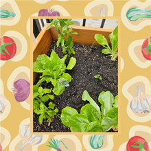 Load image into Gallery viewer, Garden Consulting