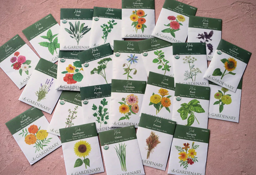 5 Garden Essentials That Changed Everything for Me