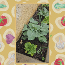 Load and play video in Gallery viewer, Garden Consulting
